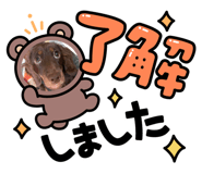 870171749