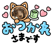 870171750