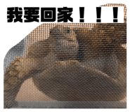 870186424