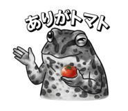 870196211