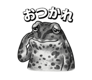 870196212