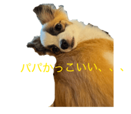 870200979