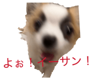 870200980