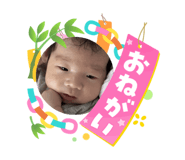 870244013