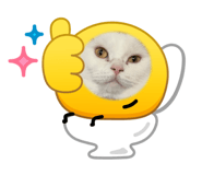 870382110