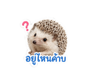 870438314