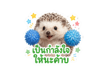 870438315