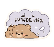 870511074