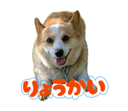 870532886
