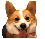 870532899
