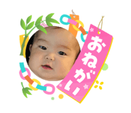 870541560