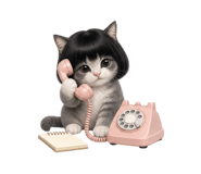 870581084