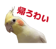 870594775