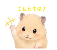 870594986