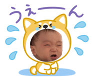 870597013