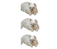870598615