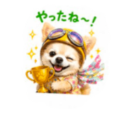870598802