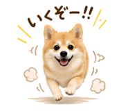 870599653