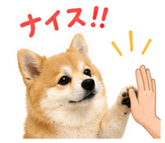 870599655