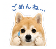 870599660
