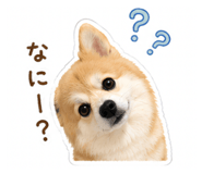870599663