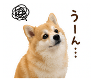 870599664