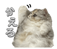 870601721