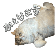 870601723