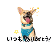 870604565