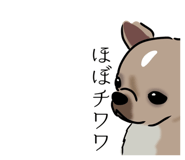 870606527