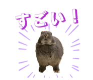 870608375