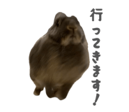 870608377