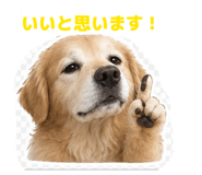 870609060