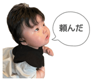870631046