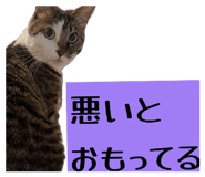 870643443