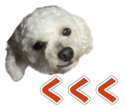 870646835