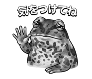 870671090