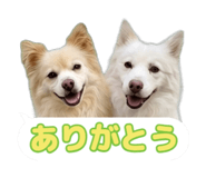 870687257