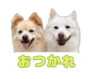870687258
