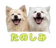 870687265