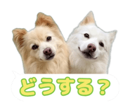 870687267