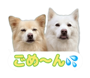 870687270
