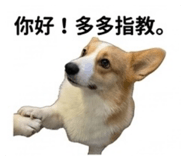 870695299