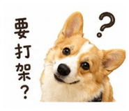 870695325