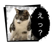 870786159