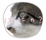 870786165