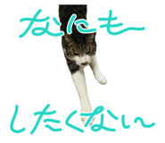 870786167