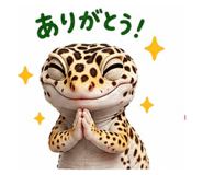 870794779