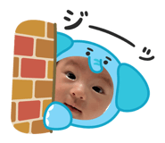870798604