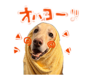 870798877